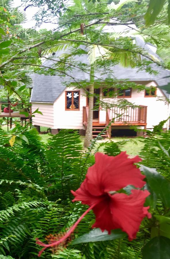 Cape Tribulation Holiday House Exterior photo